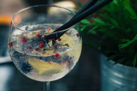Cinco recetas de cocteles para celebrar el Día Mundial de la Ginebra