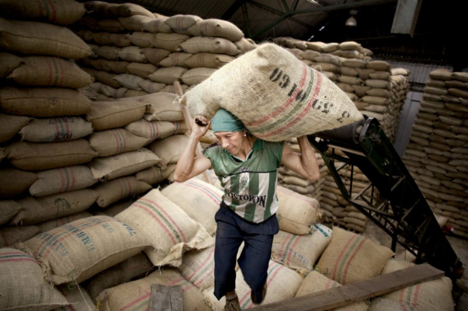En el año cafetero 2016-2017, las ventas externas de café de Colombia crecieron 15,8%. / Bloomberg News