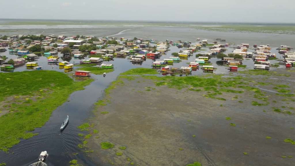 Está planta invasora también está perjudicando la pesca y, por tanto, la seguridad alimentaria y cultural de las comunidades palafíticas.