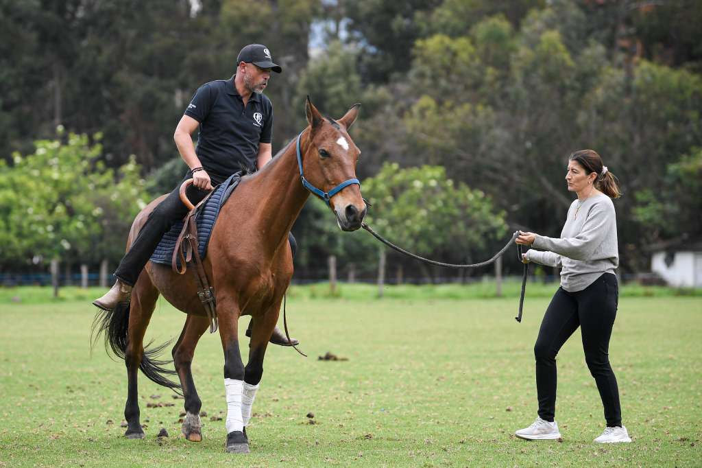 Profesionales de áreas como la psicología, la veterinaria y la fisioterapia realizan cursos de especialización y se certifican en el campo para adquirir las competencias necesarias.