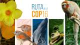 RUTA A LA COP16