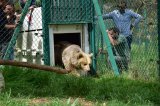 En fotos: los últimos animales de un zoológico de Tailandia