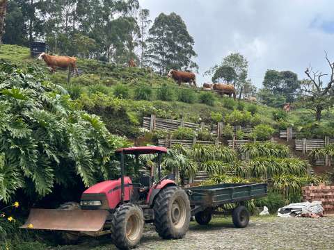Los precios al productor frenan en agosto mientras el agro mantiene presión