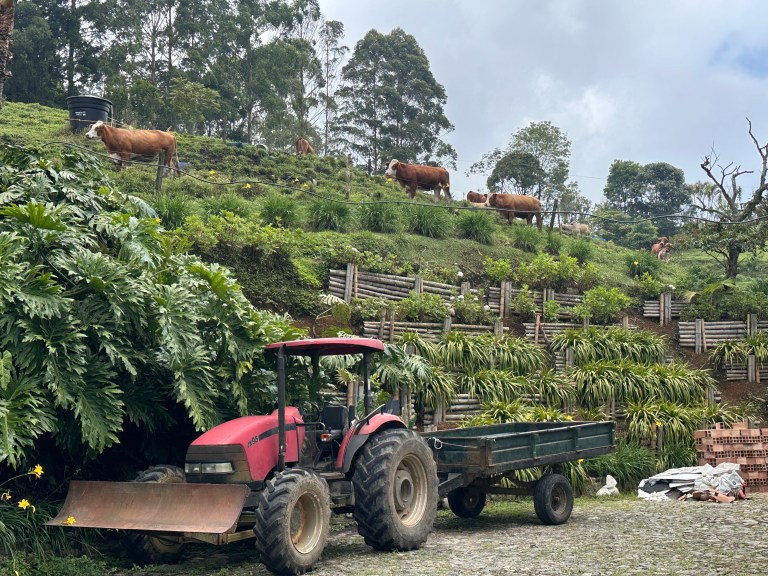 Los precios al productor frenan en agosto mientras el agro mantiene presión