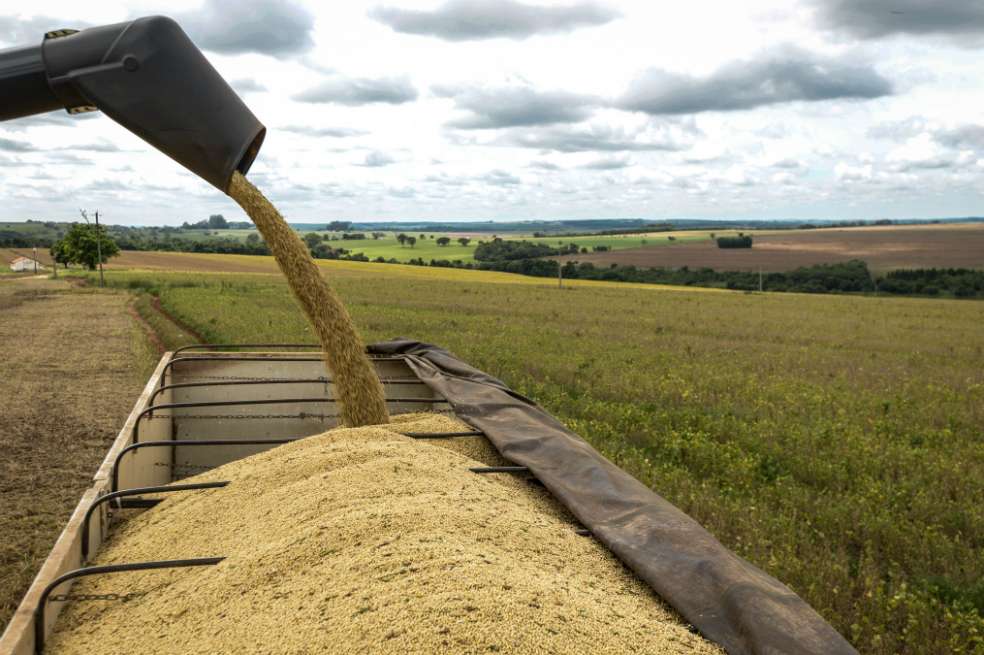 La soya será uno de los productos afectados por los aranceles en China. / Bloomberg