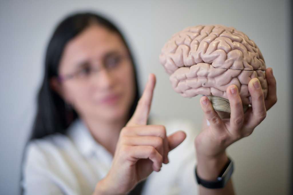 Un envejecimiento prematuro del cerebro puede redundar en un mayor riesgo de enfermedades neurodegenerativas, como el alzhéimer u otros tipos de demencia. /Mauricio Alvarado.