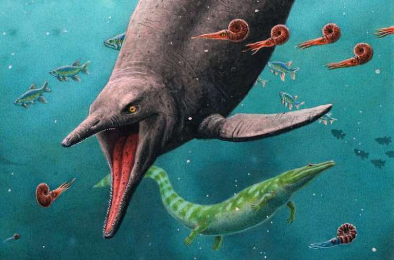 Encuentran el reptil marino más antiguo de la era de los dinosaurios