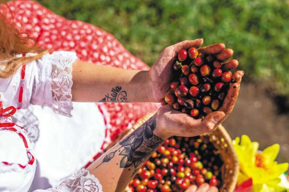 Manuela Gallego, una chapolera millennial, con tatuajes en los antebrazos y amante del rock y el jazz, y quien desde los 13 años está vinculada con el trabajo en el campo. / Paolo Ávila
