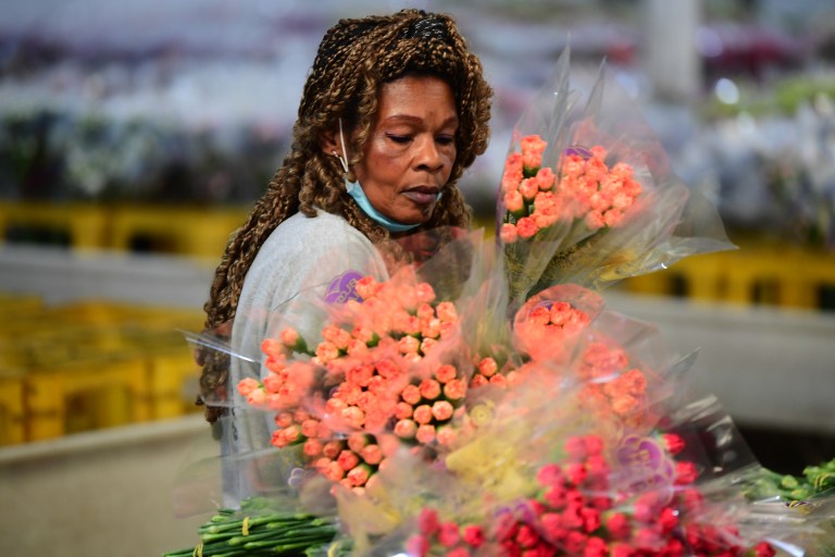 Cultivo de Flores