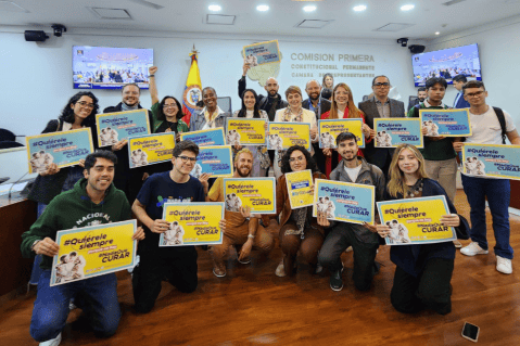 Proyecto contra “terapias de conversión” fue aprobado en primer debate en Cámara
