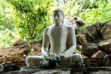 La ruta de senderismo que destaca la historia del té de Sri Lanka