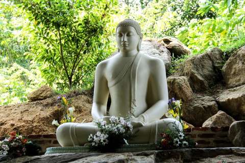 La ruta de senderismo que destaca la historia del té de Sri Lanka