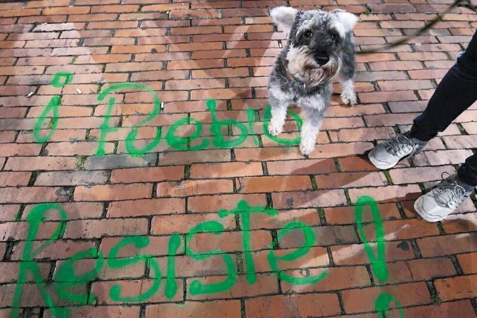 Según expertos, los animales domésticos se ven afectados en las marchas. / Mauricio Alvarado