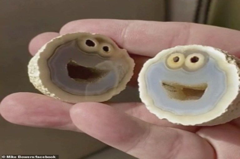 Geólogos hallan roca volcánica que se parece al Monstruo come galletas