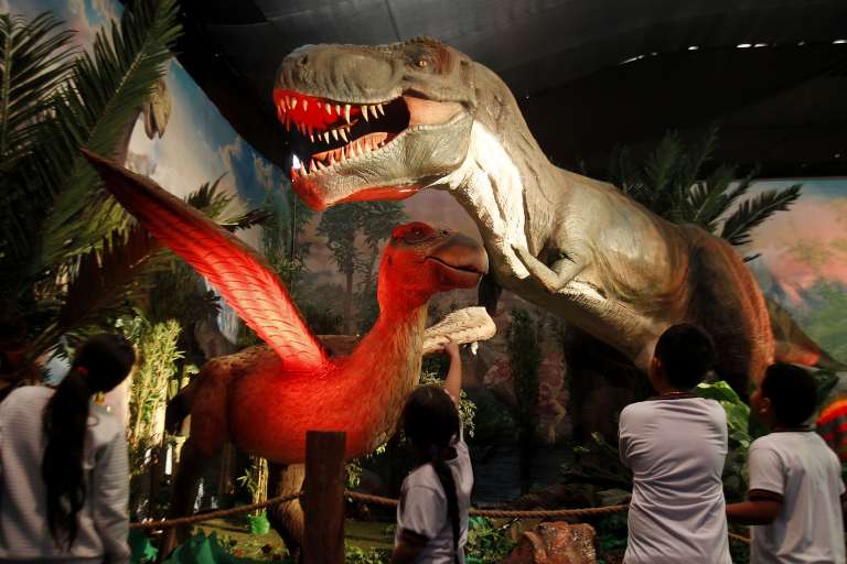 MED102. MEDELLÍN (COLOMBIA), 11/02/2023.- Niños asisten a la exhibición "Dinosaurios y Dragones fantásticos", el 10 de febrero de 2023, en Medellín (Colombia). "Dinosaurios y Dragones Fantásticos", considerado el tour animatrónico más grande de Latinoamérica, inició este sábado en Medellín un viaje prehistórico y mitológico con más de 30 figuras que simulan el aspecto y comportamiento estas criaturas. EFE/ Luis Eduardo Noriega A.