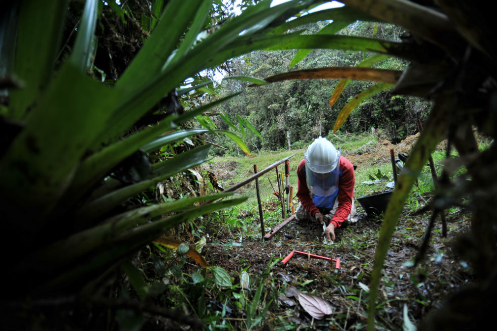 Halo Trust es una de las organizaciones civiles acreditadas para hacer desminado humanitario en Colombia. / Cristian Garavito - El Espectador