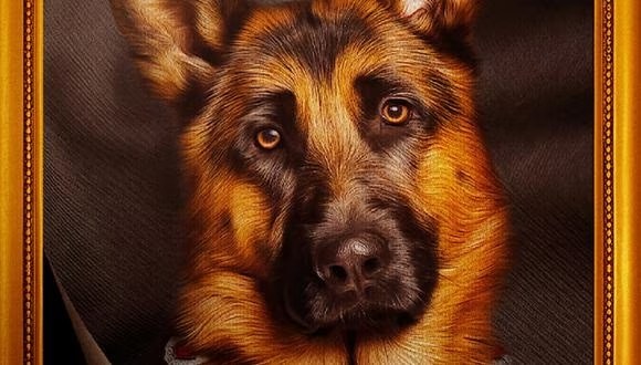 “Gunther, el perro millonario”: la historia detrás del documental de Netflix