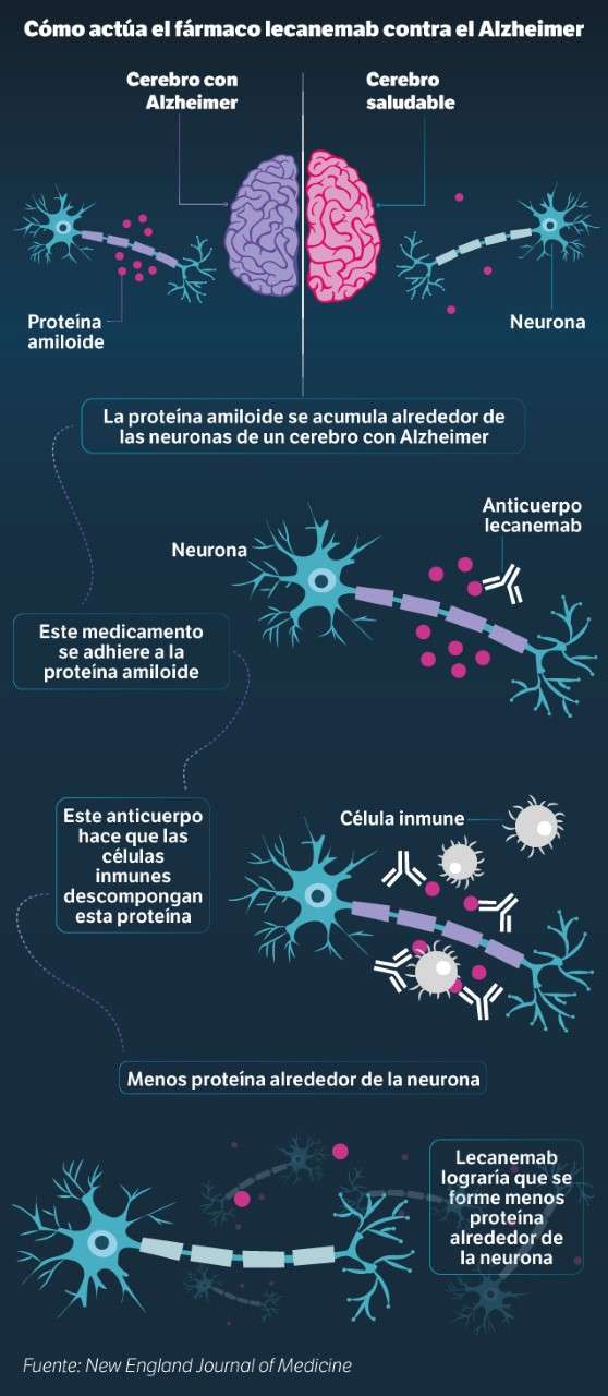 Así funciona lecanemab, el fármaco para tratar el Alzheimer.