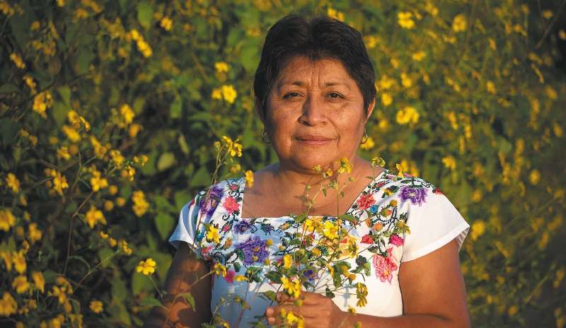 Leydy Pech, líder maya que fue galardonada con el premio Goldman por su lucha contra la siembra de soya transgénica de Monsanto en la península de Yucatán, al sur de México.