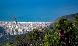 Río de Janeiro: un pulmón del mundo al lado del mar
