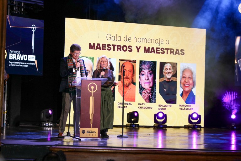 Premios Bravo