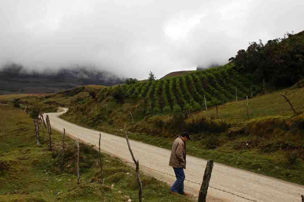 Sumapaz fue incorporada en 1984 y cuenta con 78.095 hectáreas de suelo rural en el extremo sur de la ciudad. / Archivo