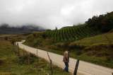 Sumapaz no sale de la crisis