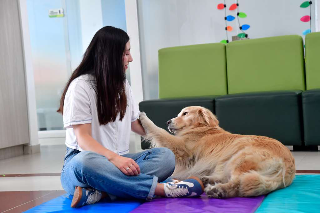 Perros que ayudan a sanar: animales como apoyo clave en la salud mental