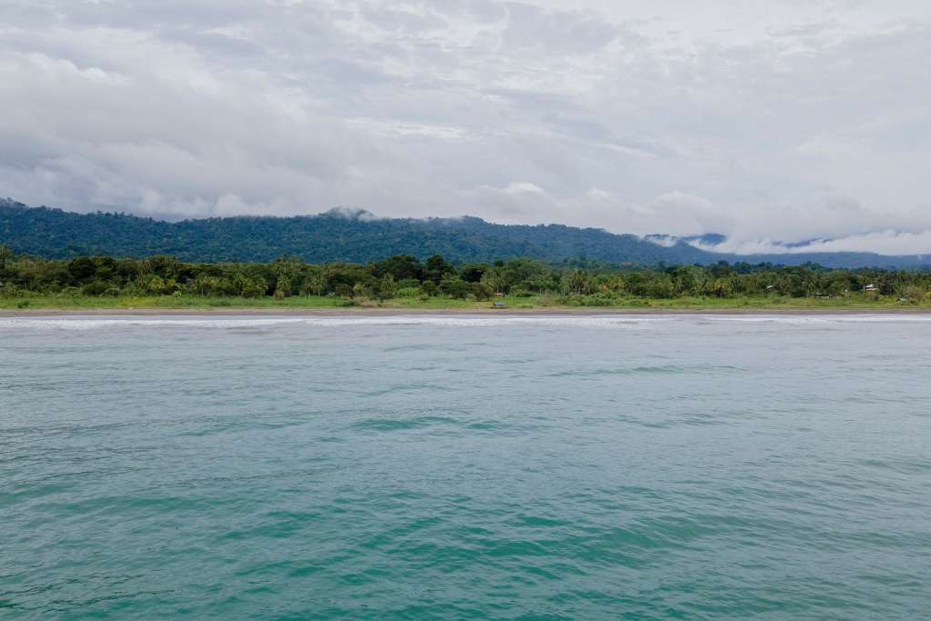 En el corazón del Darién chocoano, se encuentra la Reserva de Biosfera del Darién Norte. Un paraíso natural que se extiende por 301,625.46 hectáreas en Colombia, con 185,371.5 hectáreas en tierra y 116,254 en el mar.