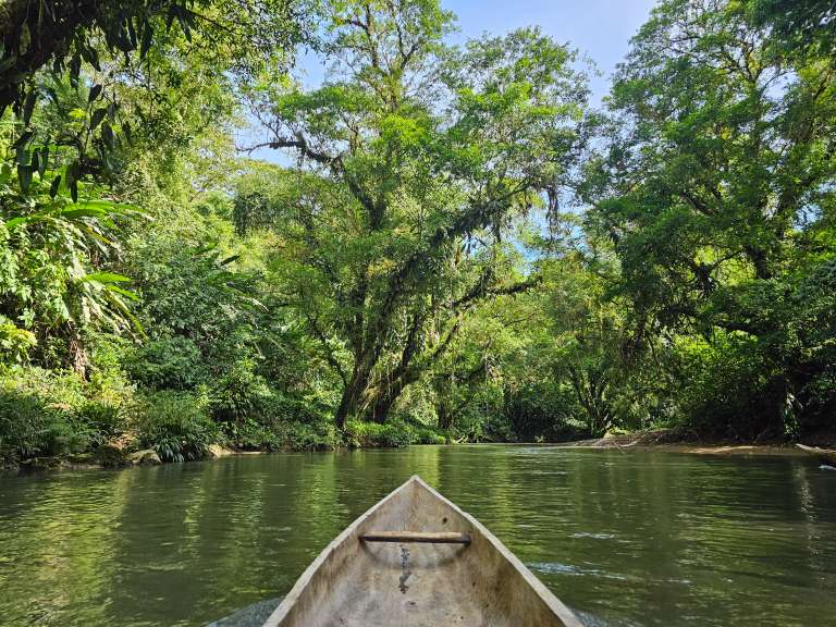El chingo es una canoa artesanal utilizada por las comunidades del Pacífico, hecha generalmente en madera y diseñada para navegar ríos angostos y tranquilos como el Joví.