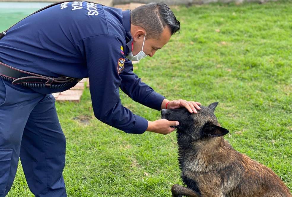 Perro y bombero