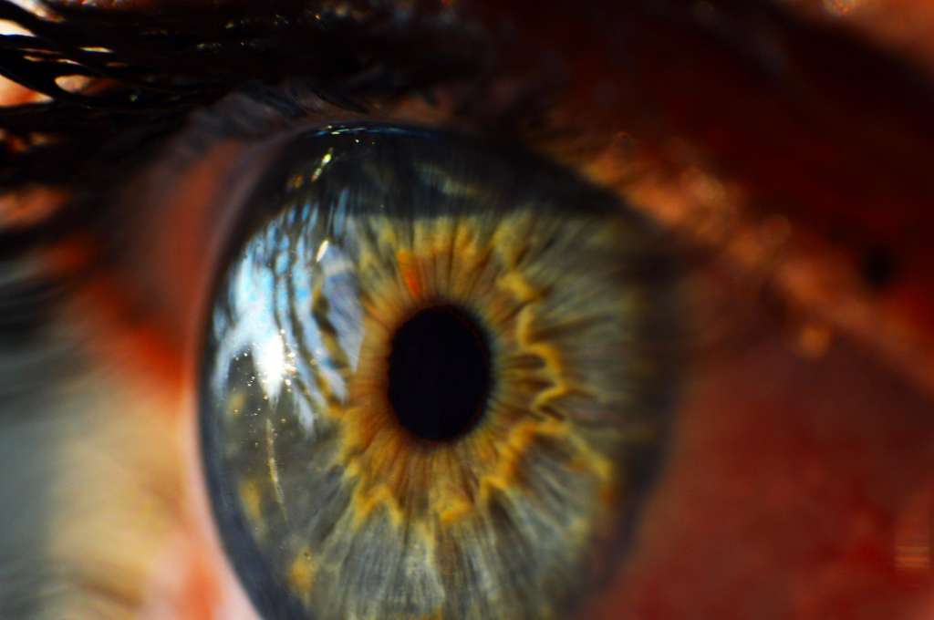 Los participantes estuvieron expuestos a luz láser que estimuló sus retinas.