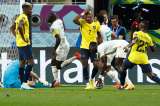 Países Bajos ganó el Grupo A y Senegal dejó por fuera a Ecuador