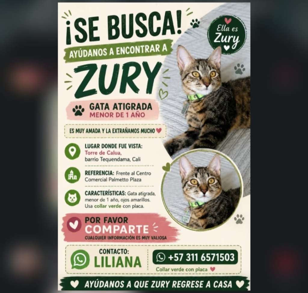 Perritos