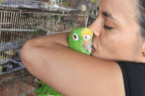 ¿Por qué no se deben comprar ni regalar loros o aves en Semana Santa?