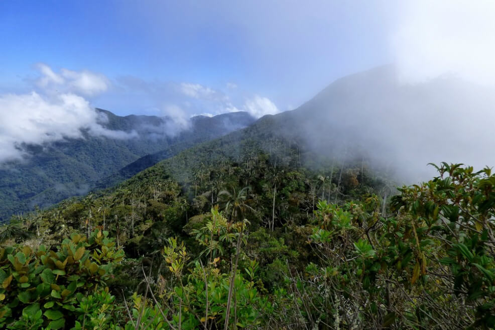 A Chucho Mercancía, según revelaron las autoridades tras anunciar que había muerto, se le atribuía “el manejo del 80% de las rutas del narcotráfico en la Sierra Nevada, desde la Guajira hasta el departamento de Magdalena”. / Flickr