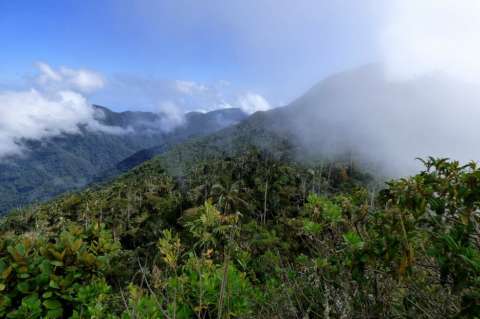“Los Pachencas”: la organización criminal que causa terror en la Sierra Nevada