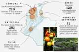 Colombia produce comida gracias a la Reforma Agraria