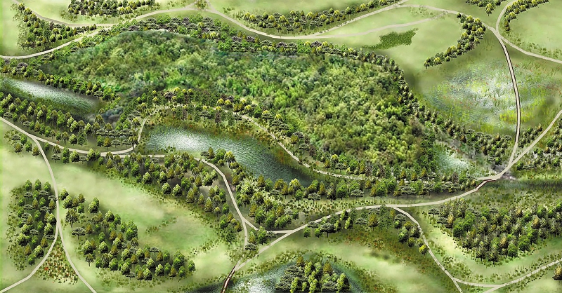 En los planes del Distrito está la construcción de senderos dentro de la reserva.
