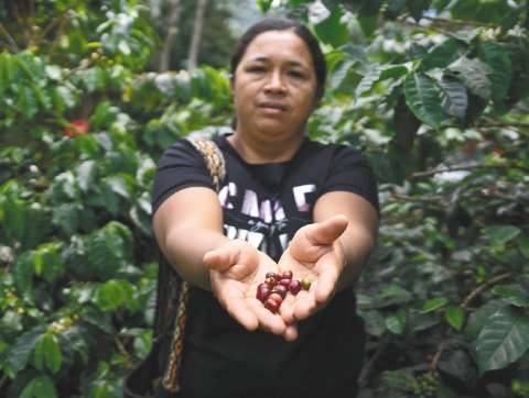 Colombia será sede de la reunión anual de la Organización Internacional del Café