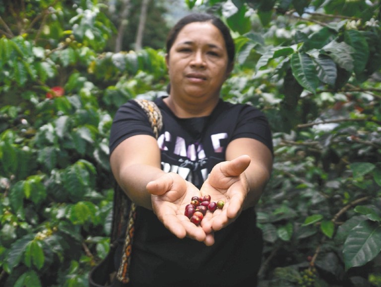 Colombia será sede de la reunión anual de la Organización Internacional del Café
