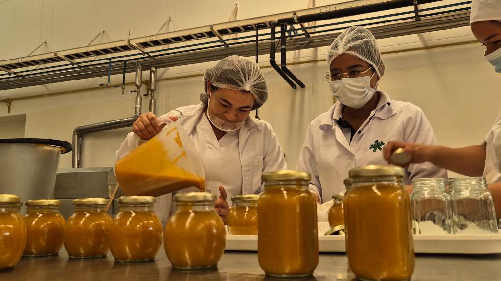 El objetivo es "desarrollar y fortalecer a las unidades productivas, micronegocios y Mipymes de la economía popular".