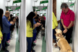 [Video] Perro héroe recibió ovación de pie en hospital tras salvar a su dueño