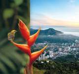 Valle del Cauca, epicentro de inversión sostenible y tecnológica