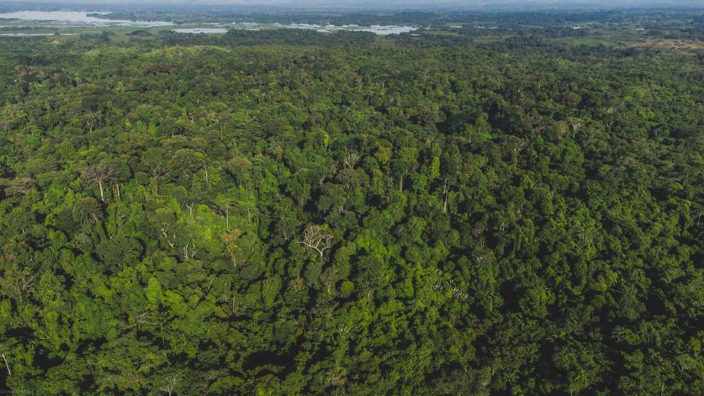 Foto aérea de la Reserva El Silencio. Al fondo, la Ciénaga de Barbacoas.