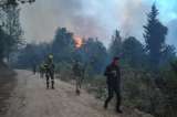 12 incendios forestales se atendieron este viernes en Cundinamarca, esto se sabe