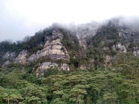 Los mejores lugares cerca de Bogotá para hacer avistamiento de aves
