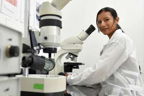 Tan solo el 28% de los investigadores del mundo son mujeres