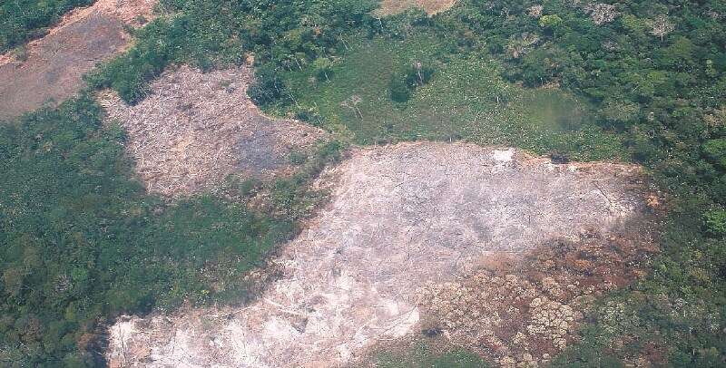 El Instituto de Hidrología, Meteorología y Estudios Ambientales (Ideam) de Colombia alertó el 16 de marzo pasado que la Amazonía concentra el 75 % de la deforestación en el país, a la que le sigue la región Andina con el 9 %. / Cortesía