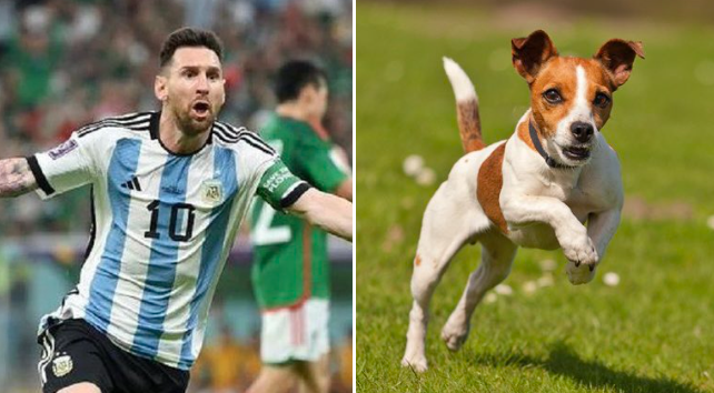 ¿Messi se parece a un perro?: Twitter compara a jugadores argentinos con caninos